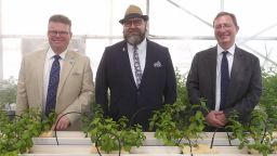 Photo of researchers at an Omani greenhouse
