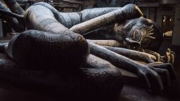 A photo of a sleeping giant lying on its side