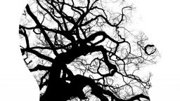 A head with tree branches