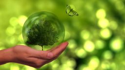 Sustainability