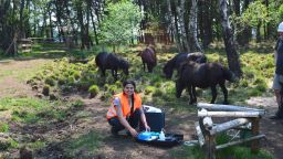 Researcher measuring fluxes of agricultural chemicals in the subsurface