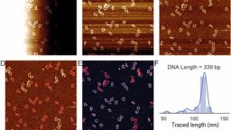 A series of five images showing unreadable data next to an image of histogram showing readable data