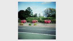 Jason Tilley photograph of Binley Road flowers