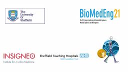 BioMedEng Conference graphic