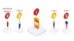 Diagram of types of diabetes