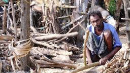 A man crouching in the middle of branches of wood