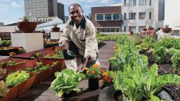 A farmer on a rooftop garden in Durban, South Africa 