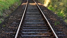 Leaves on the Line
