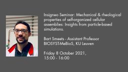 Insigneo Seminar graphic Bart Smeets talk details