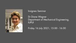 Insigneo Seminar graphic Diane Wagner talk details