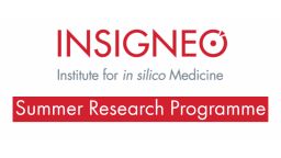 Insigneo Summer Research Programme Graphic