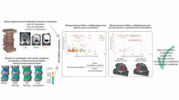 Graphical Abstract of Bone Paper