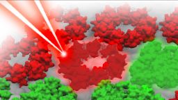 Quantum effects in photosynthesis