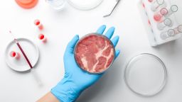 Lab grown meat in a petri dish