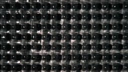 Photo of Biomaterial