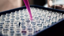A pipette distributing pink liquid into small vials