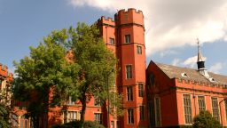 Ash tree outside Firth Court