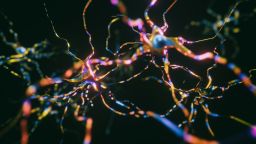 Neurons Cells System - 3d rendered image of Interconnected Neurons with electrical pulses. Conceptual medical animation