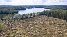 GettyImages-1336631428_Deforestation near Lake