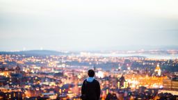 A photo of a person on a hill looking out above a cityscape lit at dusk.