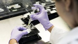 Scientist at the lab bench