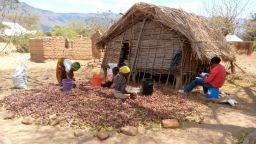 Farmers in Tanzania