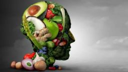 Ketogenic image of human brain