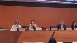Dorothea Kleine at UN