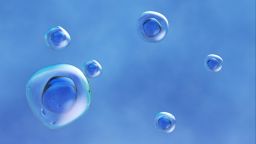 depiction of human cells