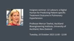Image graphic: Insigneo seminar: Professor Merryn Tawhai, Director of the Auckland Bioengineering Institute, University of Auckland, New Zealand  Tuesday 10 October 2023