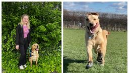 Image shows Emily with Oliver/ Oliver bounding through a field 