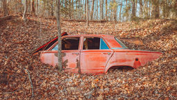 Abandoned car wreck in a wood covered in autumn leaves. 