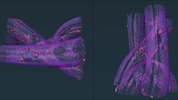 A 3D tomography image of PP mesh