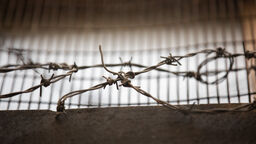 Barbed wire