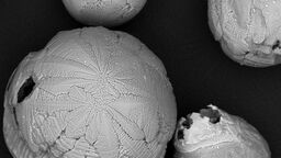 Novel material particles produced from the exothermic reaction by product 