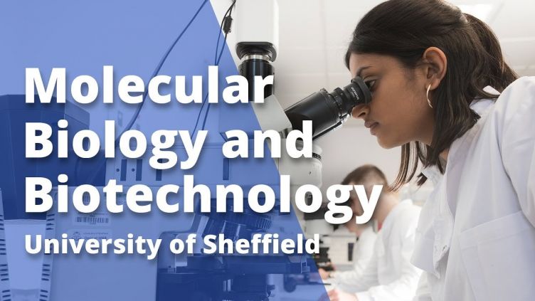 undergraduate research project microbiology