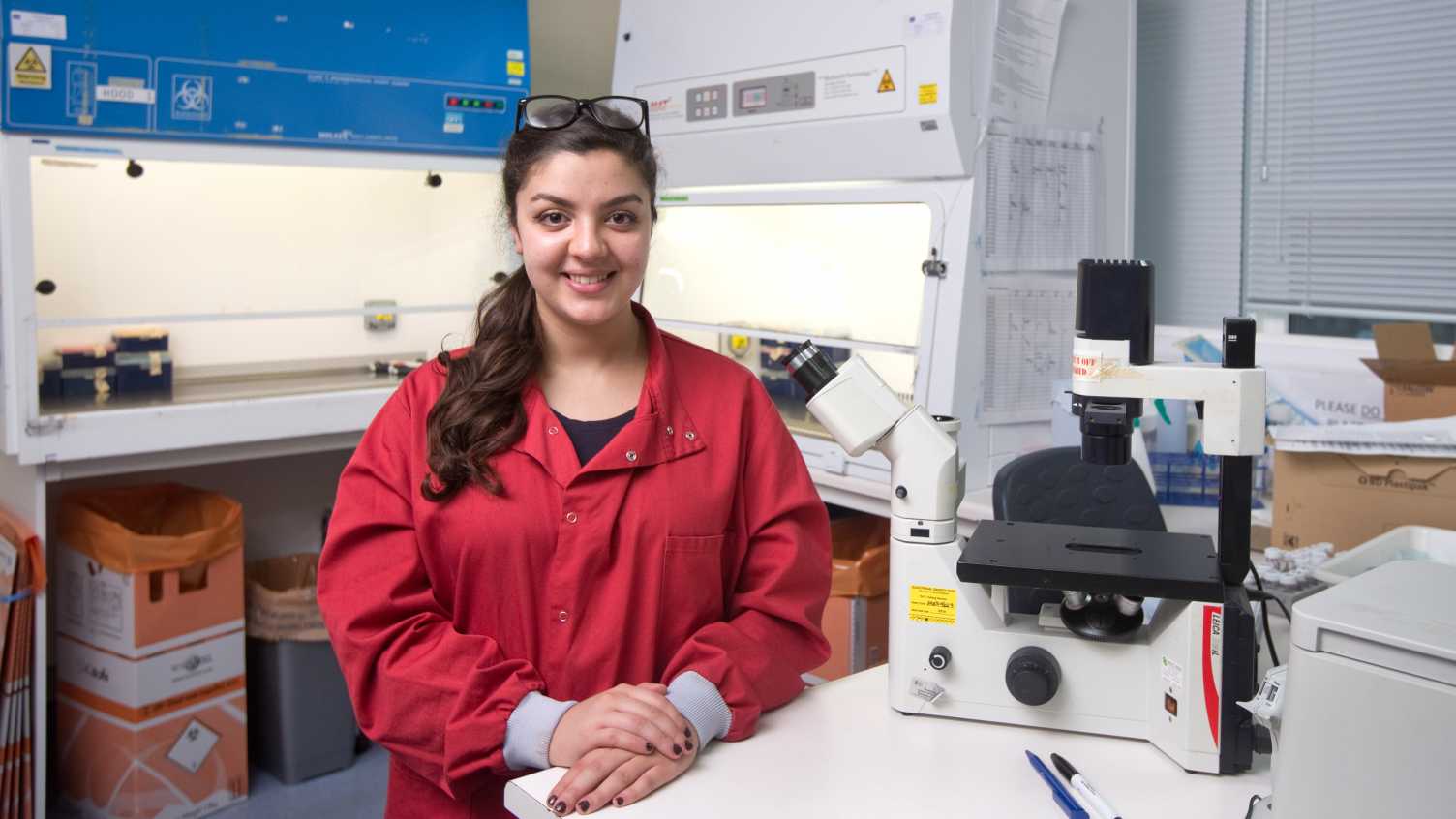 Undergraduate courses | Neuroscience Institute | The University of ...