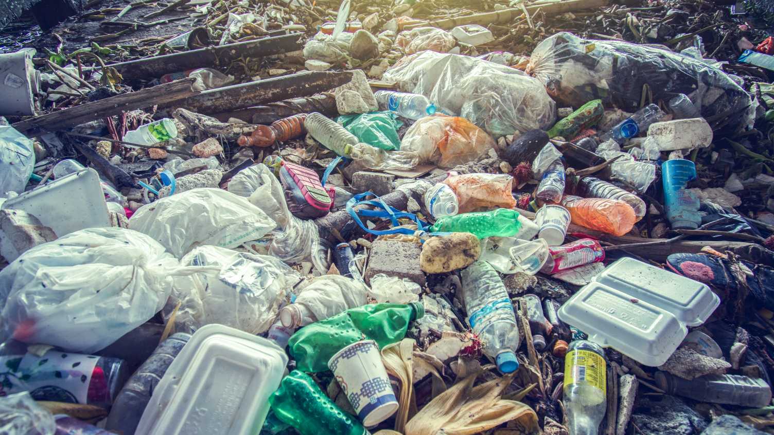 University of Sheffield researchers join forces to tackle plastic waste
