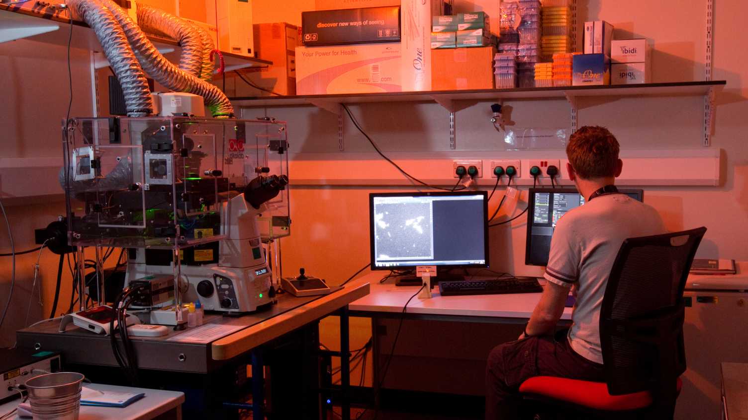 Work with us Wolfson Light Microscopy Facility The University of