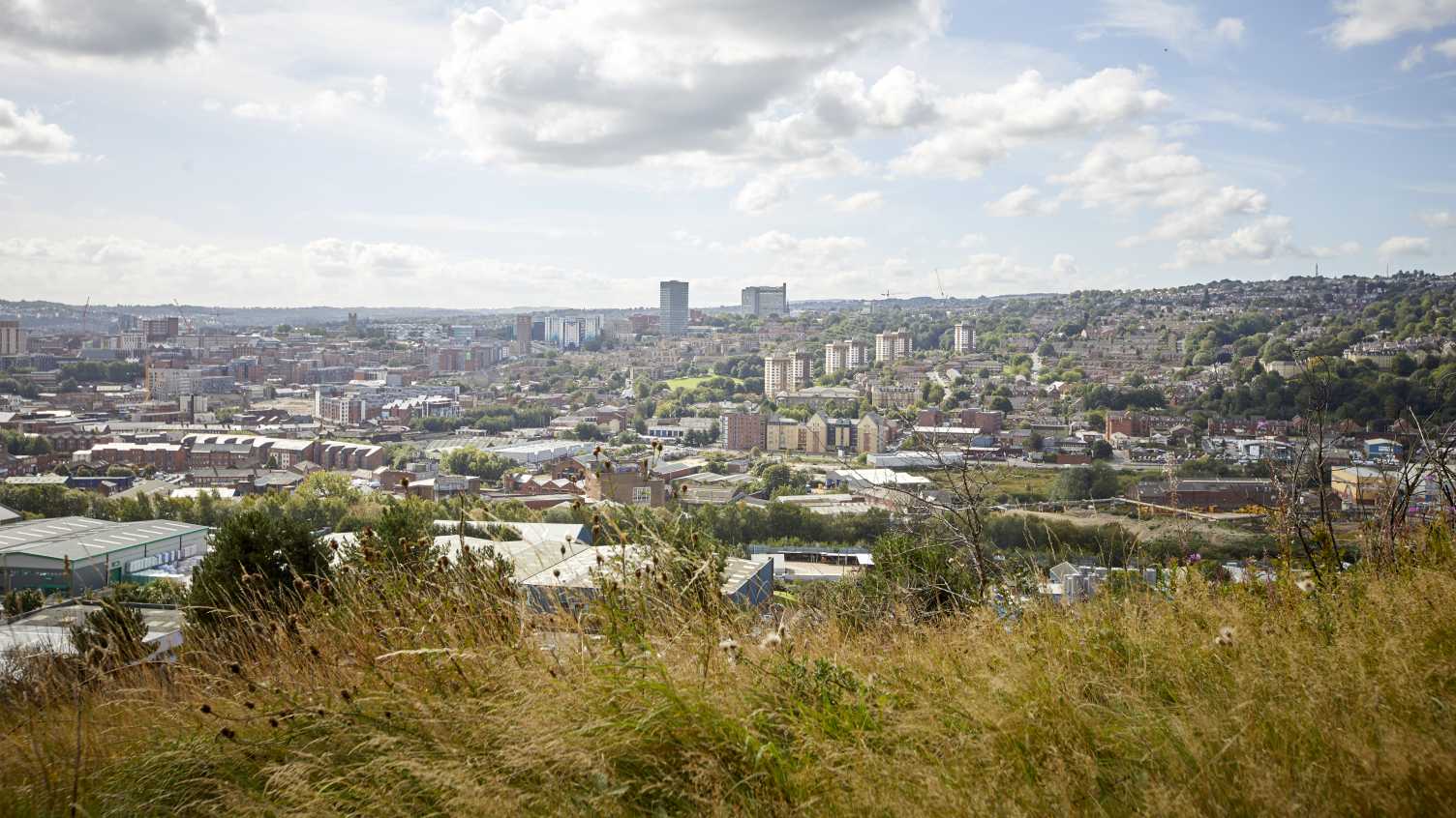 Urban Land Could Grow Fruit and Vegetables for 15% of the Population