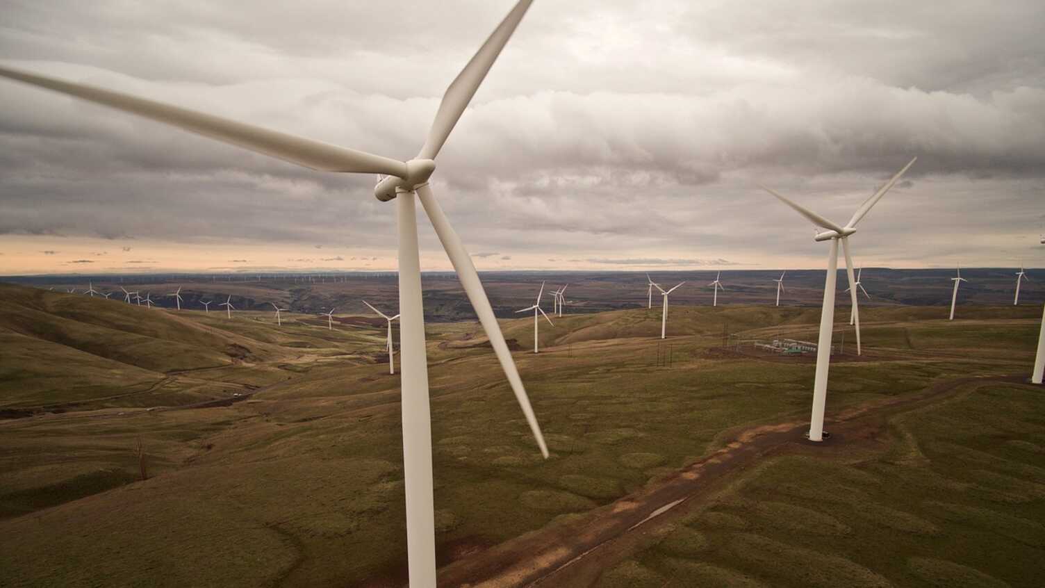 Region's renewable energy could power a steel industry revolution - Vimarsana News