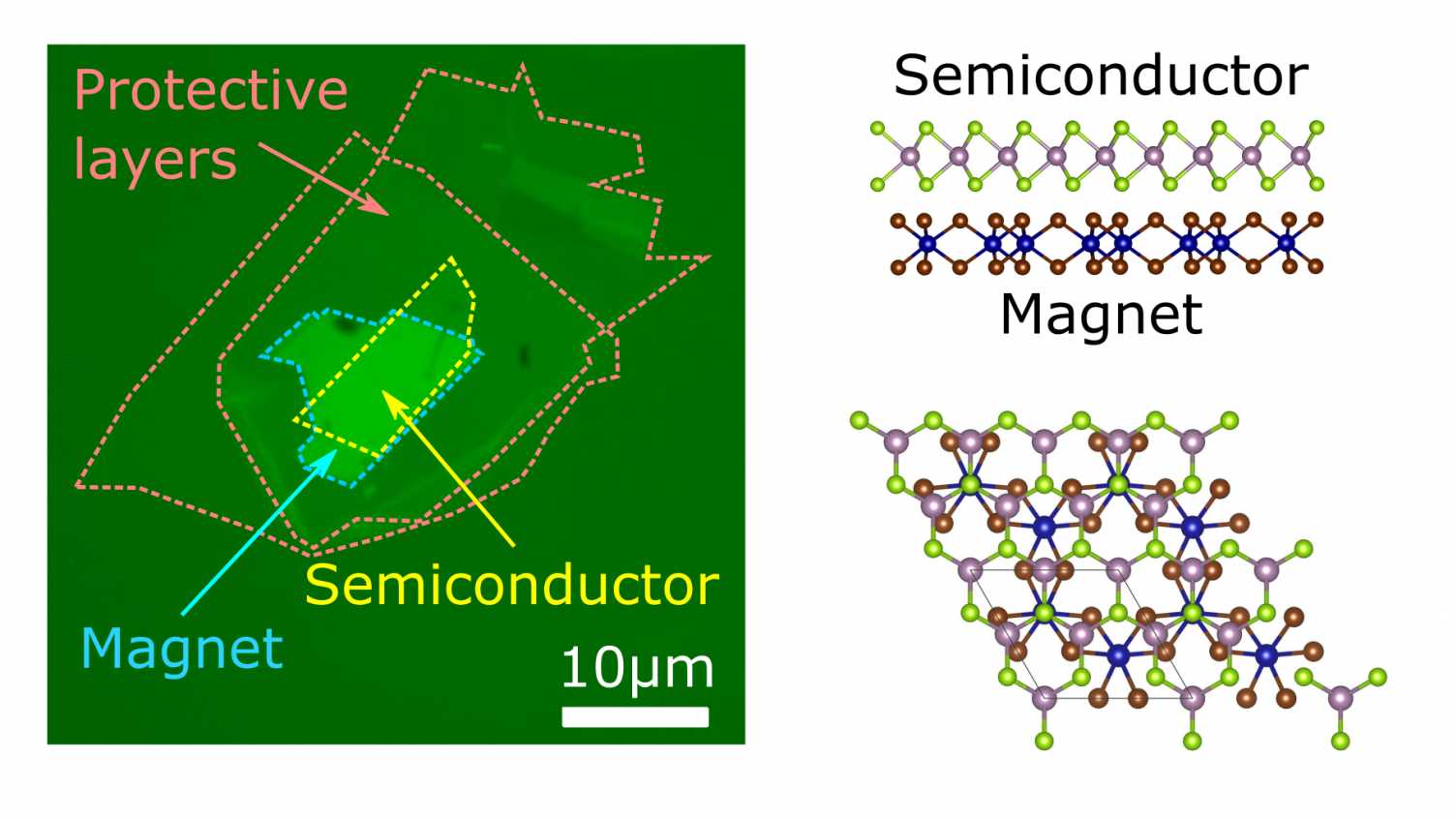 Twodimensional and semiconductors combine to reveal new technological possibilities