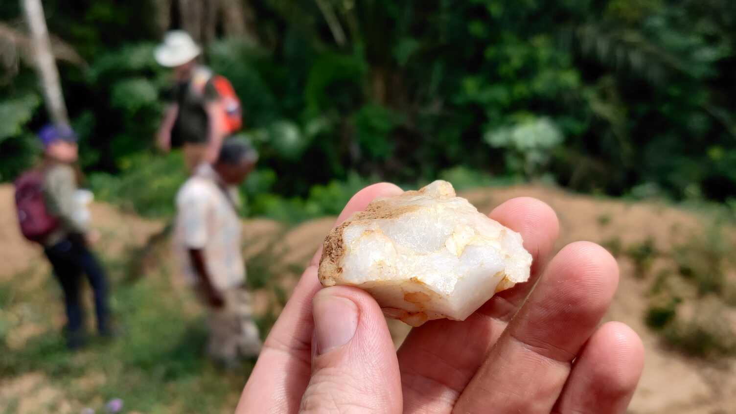 150,000-Year-Old Evidence of Humans in African Rainforests Rewrites History