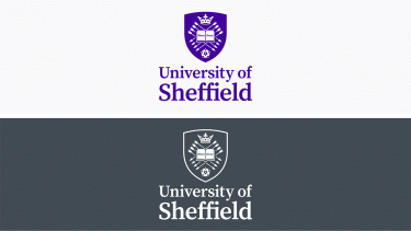 The University's secondary logo