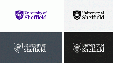 Examples of logo on different backgrounds